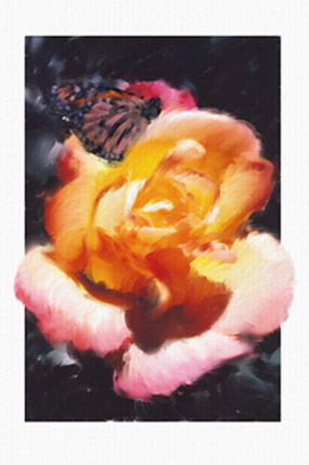 Digital Fine Art Prints