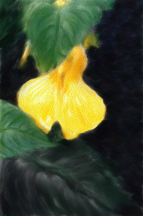 Digital Fine Art Prints