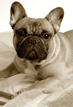 Karen Gast Photography