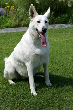 Karen Gast Photography